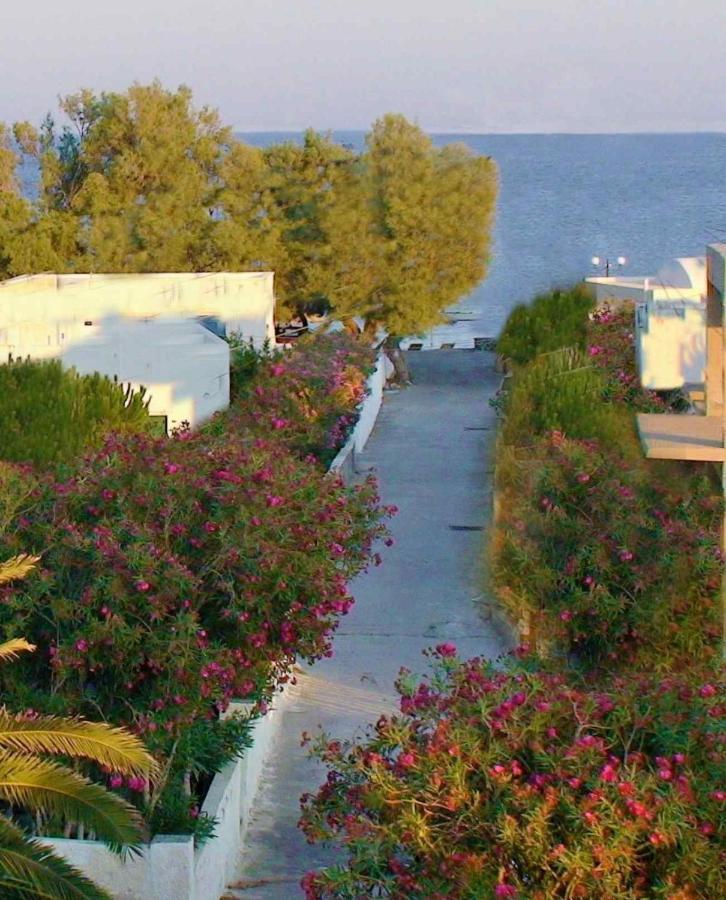 Located By The Sea One Beachfront Private Captain Lazaros Pool Villa With Loft In 750Sqm Spacious Private Plot-Jacuzzi-Sunrelax-Furnished Terace-Gazebo-Private Parking,Sleep 3 Adults And 2 Children, Just Steps From The Black Beach-Seaview Perissa  Zewnętrze zdjęcie